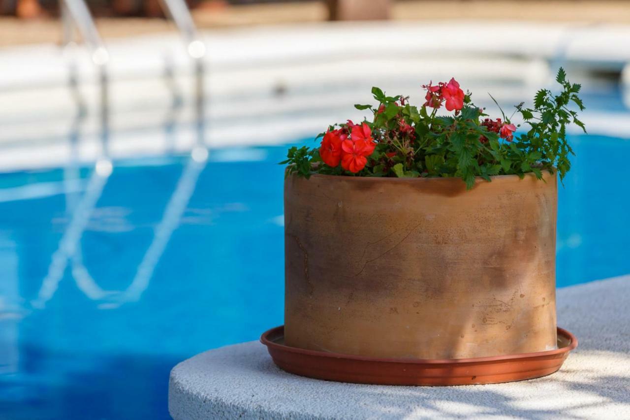 Casita Las Malvinas En Villa De Nijar Con Piscina Exterior foto
